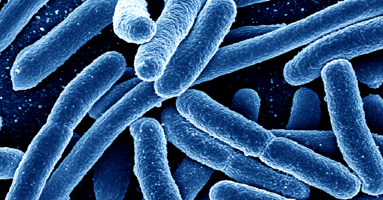 microbiome