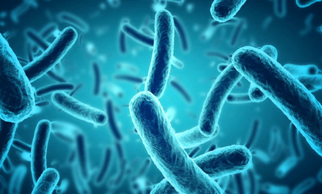 microbiome