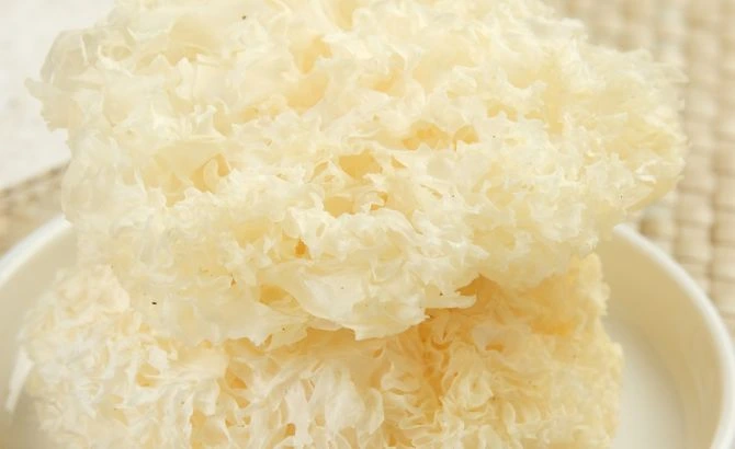 Apa itu snow mushroom