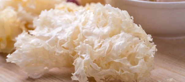 Snow mushroom